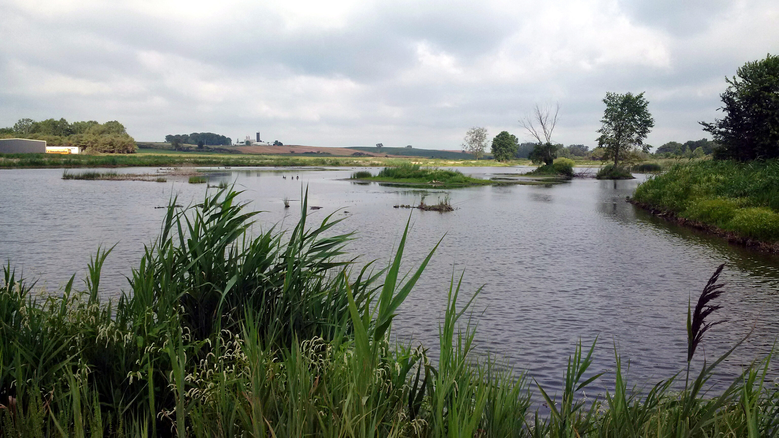 New wetlands area in Southwestern Ontario