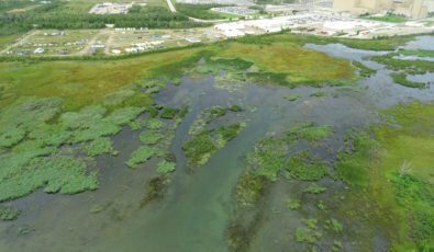 We deployed drones to help survey the growth of invasive Phragmites near the Western Waste Management Facility in Bruce County.
