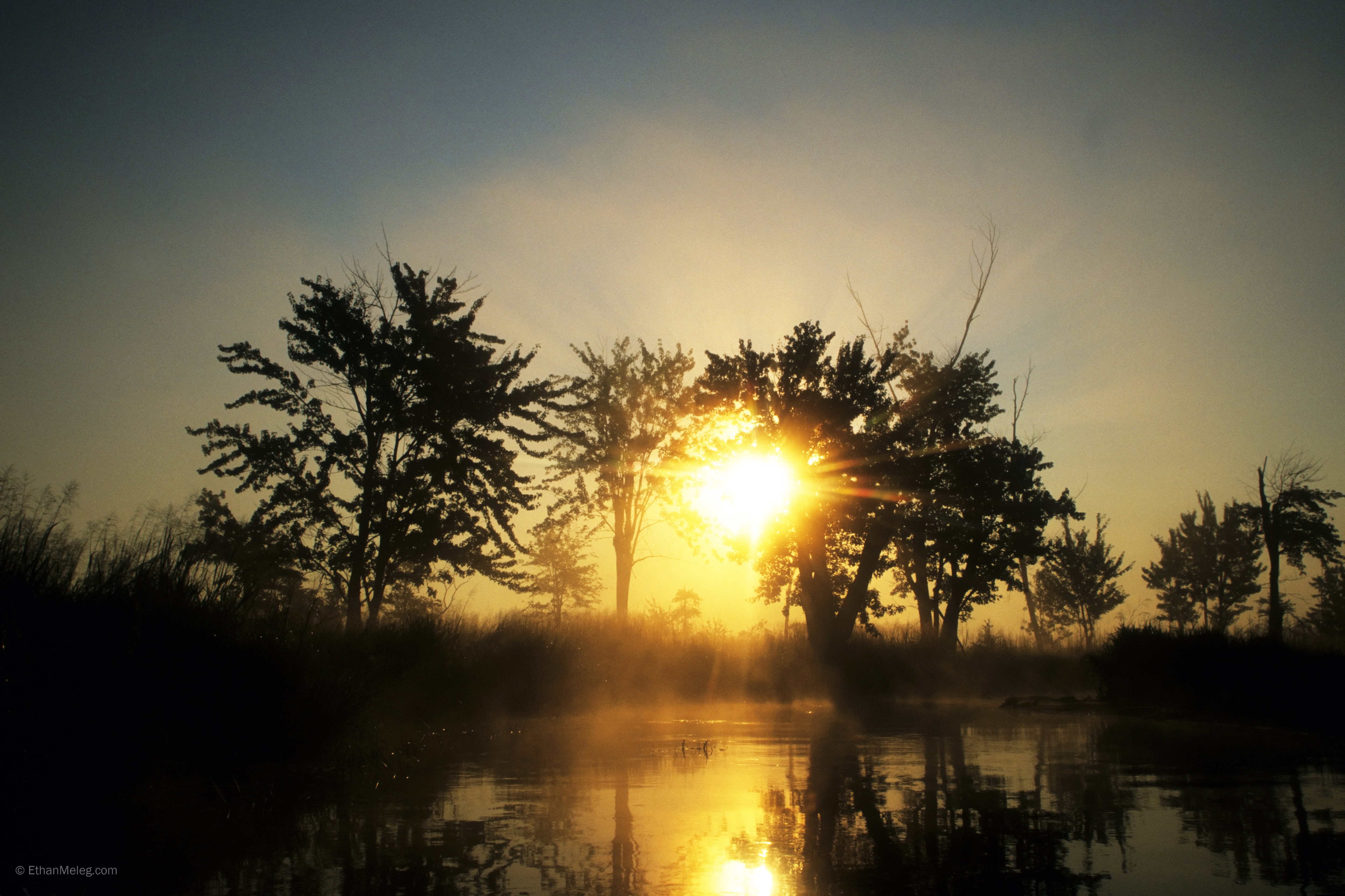 The 60-square-kilometre Minesing Wetlands has been called “the Everglades of the north."