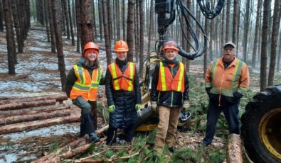 A new cooperative pilot project is helping private owners to take care of their forests so these important spaces can thrive.