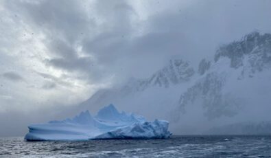 One of many icebergs spotted on Quang's journey.