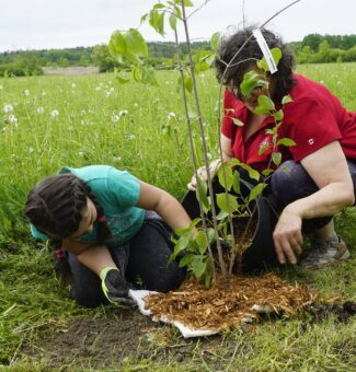 Providing a helping hand for the May 25 tree planting were members of the local Scouts group.