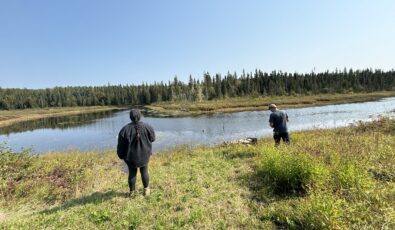 The plant identification and seed collection techniques learned will help restore the land to its natural state at OPG’s Little Long Dam Safety Project and Smoky Falls Dam Safety Project.