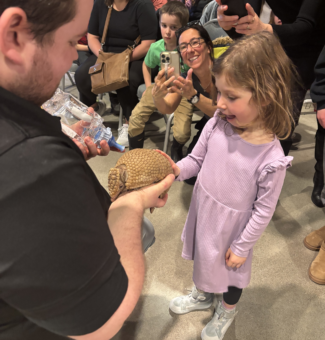 A young girl pets an armadillo during the Diversity of Living Things show at the R.H. Saunders Hydro Dam Visitor Centre.