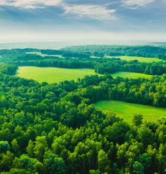 Drone photography. Ecosystem. Biodiversity