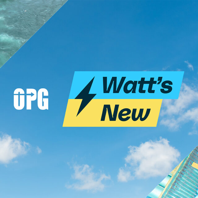 OPG Watt's New