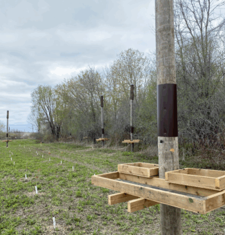 Cambium Indigenous Professional Services (CIPS) has worked to create new habitats for species at risk at OPG's Darlington New Nuclear Project site, including these bat structures.